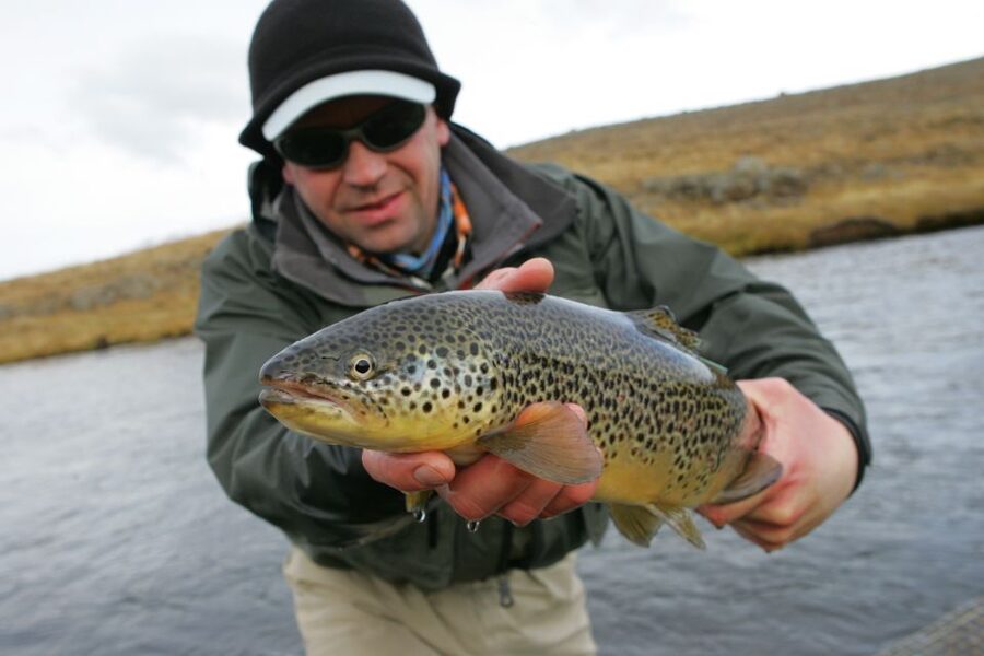 From Reykjavik: Lake and River Fishing Tour - What you will fish for: brown trout and Arctic char targets