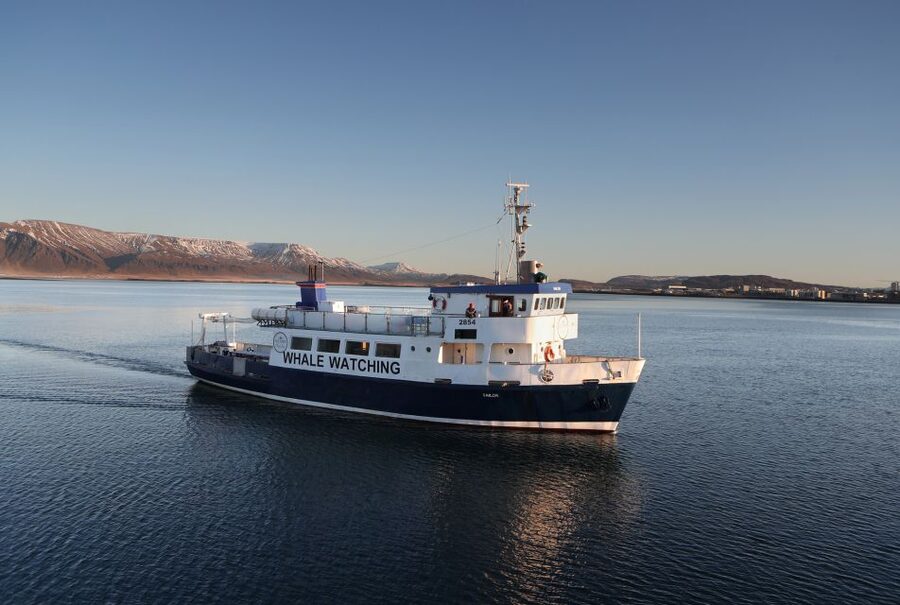 From Reykjavik: New Years Fireworks by Boat - Key Points You Should Know Before You Go