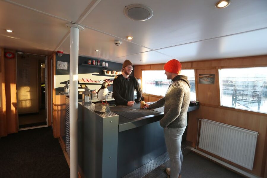 From Reykjavik: New Years Fireworks by Boat - Midnight Toast and Fireworks Viewing Angles That Matter