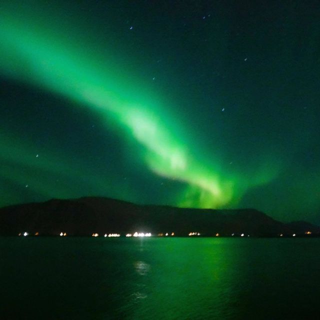From Reykjavik: Northern Lights Boat Cruise - Price and value: is $101 worth it for 2 hours?
