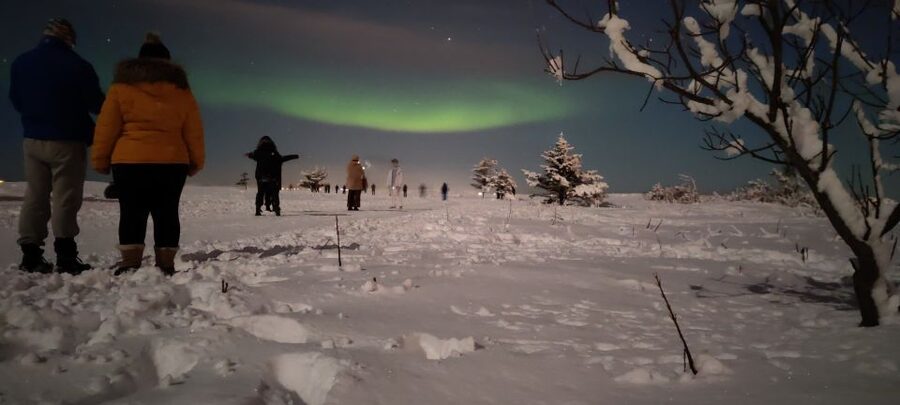 From Reykjavik: Northern Lights Chase with Expert Guide - A bus hunt for aurora that actually reacts to the night’s conditions