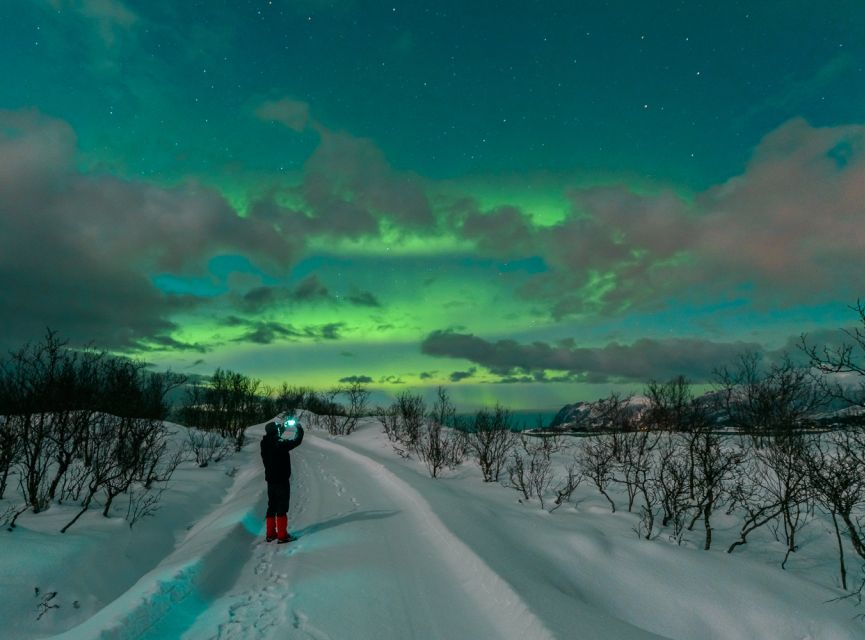 From Reykjavik: Northern Lights Chase with Expert Guide - Best fit: who should book this chase, and who should think twice