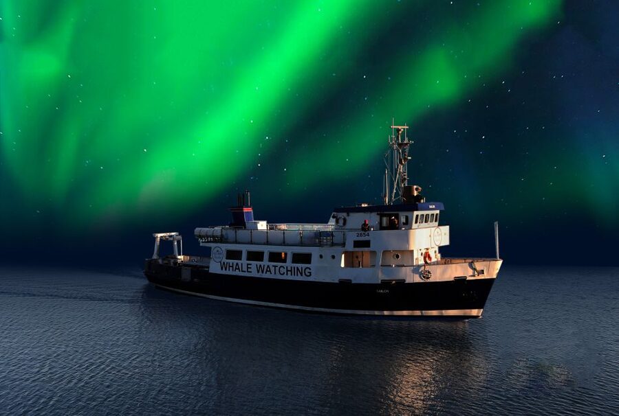 From Reykjavik: Northern Lights Sightseeing Cruise - Key Highlights to Decide If This Cruise Fits Your Night