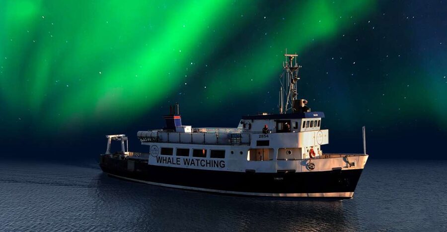 From Reykjavik: Northern Lights Sightseeing Cruise - What’s Included, What’s Not, and Why It Affects Your Budget
