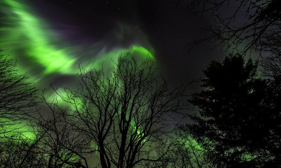From Reykjavik: Northern Lights Tour with Lifetime Guarantee - Operating hours by season, so you book the right time window