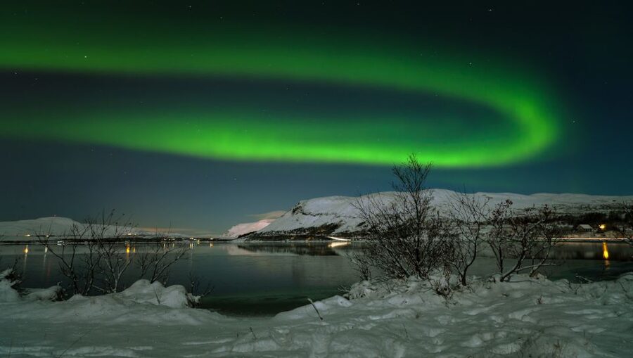 From Reykjavik: Northern Lights Tour with Lifetime Guarantee - Comfort in a cold line: bus Wi-Fi, USB power, and warm waiting