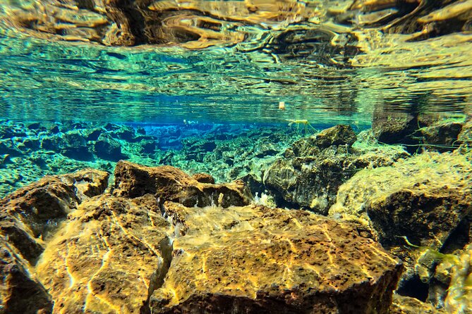 From Reykjavik- Silfra Snorkeling transfer included - Guide style: small group support you will feel in the water