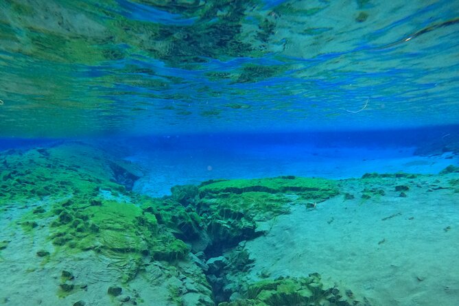 From Reykjavik- Silfra Snorkeling transfer included - Who should book Silfra snorkeling, and who should skip it