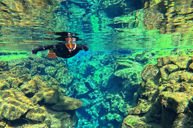 From Reykjavik- Silfra Snorkeling transfer included - Timing and crowds: when Silfra feels calm vs hectic