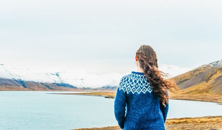 From Reykjavik: Snæfellsnes Full-Day Tour with Homemade Meal - Djúpalónssandur Black Beach: Where Wind and Waves Steal the Show