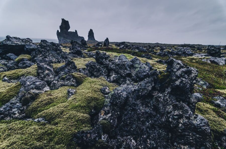 From Reykjavik: Snæfellsnes Full-Day Tour with Homemade Meal - Ytri Tunga Seal Colony: The Wildlife Stop That Resets Your Energy