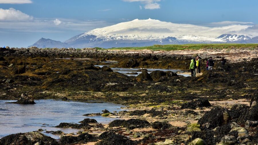 From Reykjavik: Snaefellsnes - Small Group, Lunch Included - Djúpalónssandur black-sand shore and the Stones of Trial