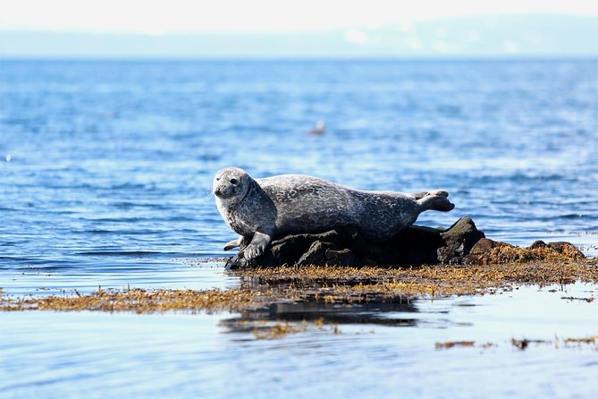 From Reykjavik: Snaefellsness Peninsula small group day tour - Key takeaways before you go