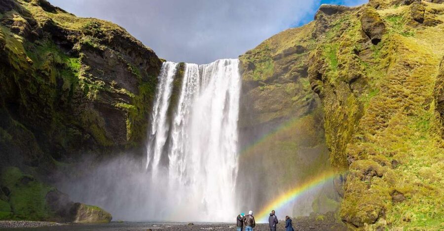 From Reykjavik: South Coast Tour & DC-3 Plane Wreck - Key highlights that matter