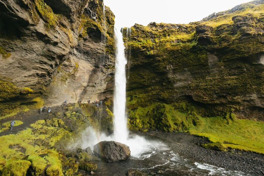 From Reykjavík: Waterfalls, Black Beach & Glacier Day Trip - Reynisfjara Black Beach: Basalt Columns and Real Wave Danger
