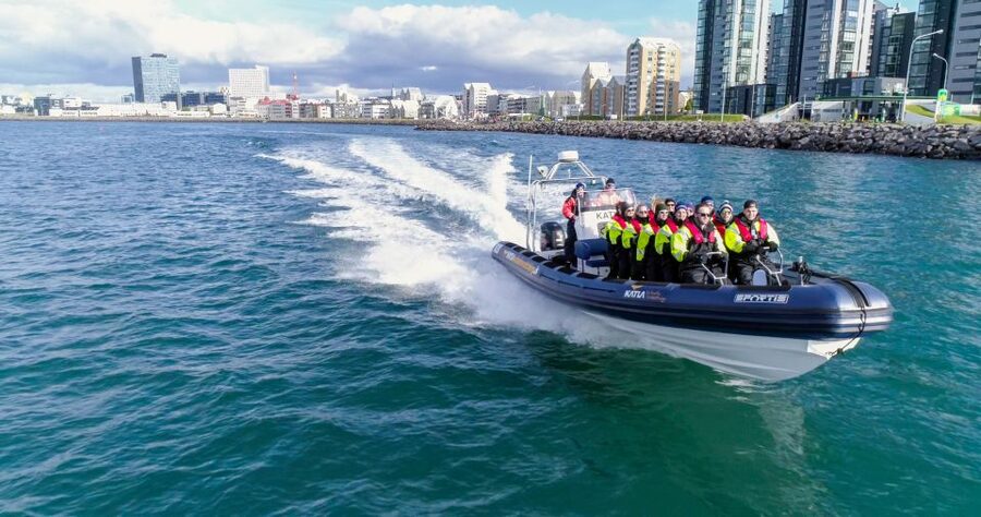 From Reykjavik: Whale Watching Tour by Speedboat - Quick hits before you go