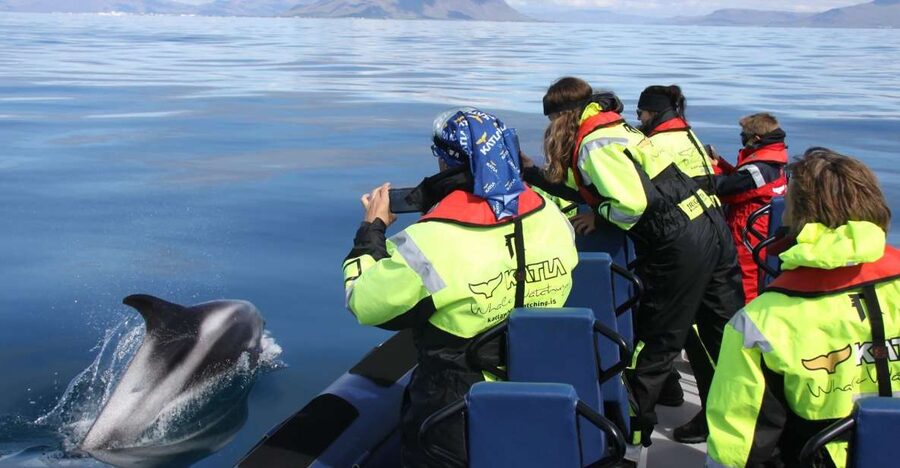 From Reykjavik: Whale Watching Tour by Speedboat - A 2-hour RIB whale safari from Reykjavik that feels like action, not waiting