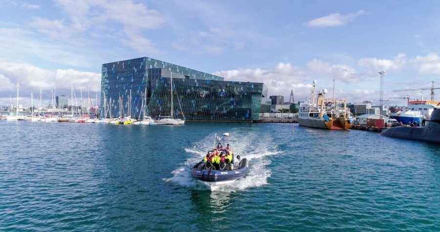 From Reykjavik: Whale Watching Tour by Speedboat - Puffins near the nesting islands, the closest you’ll get to egg-laying life
