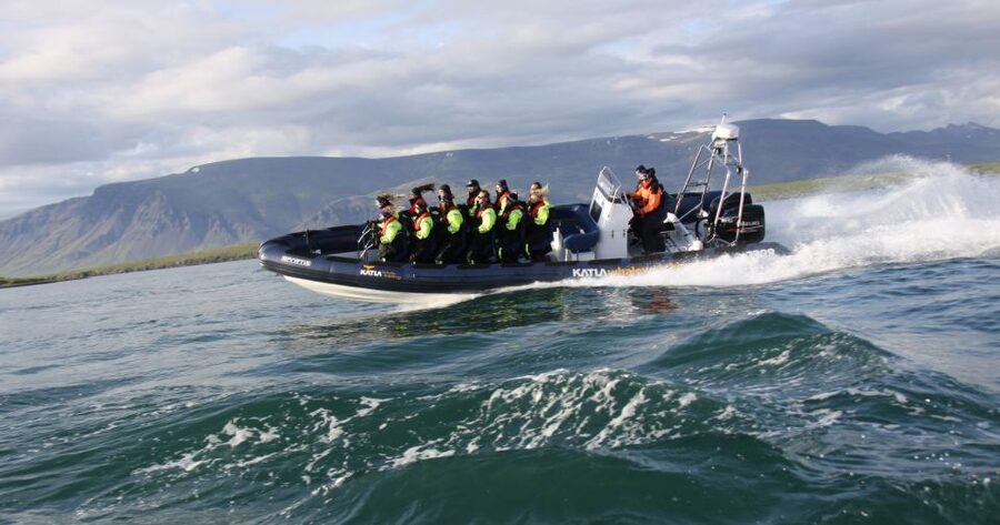 From Reykjavik: Whale Watching Tour by Speedboat - Why the guides and safety setup matter more than you think