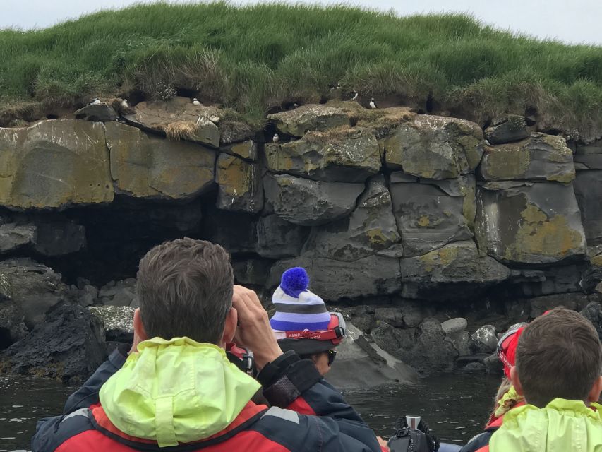 From Reykjavik: Whale Watching Tour by Speedboat - Value check: does a $192, 2-hour RIB tour make sense?