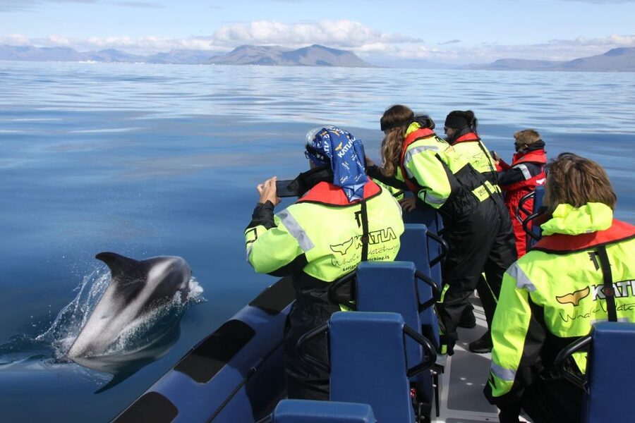 From Reykjavik: Whale Watching Tour by Speedboat - Finding the meeting point near the old harbor, and getting ready to dress for spray