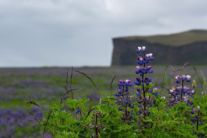 Full-Day Private Tour to Explore South Coast of Iceland - Key points before you go