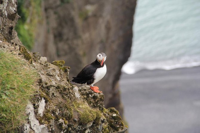 Glacier Lagoon, Diamond Beach, Black Sand Beaches and Waterfalls - Timing, comfort, and what to pack for a 14-hour day