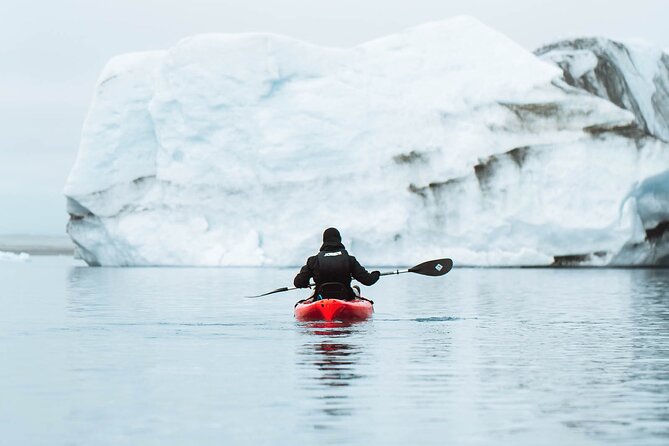 Glacier Lagoon Kayaking - What you can realistically see: wildlife, birds, and ice detail