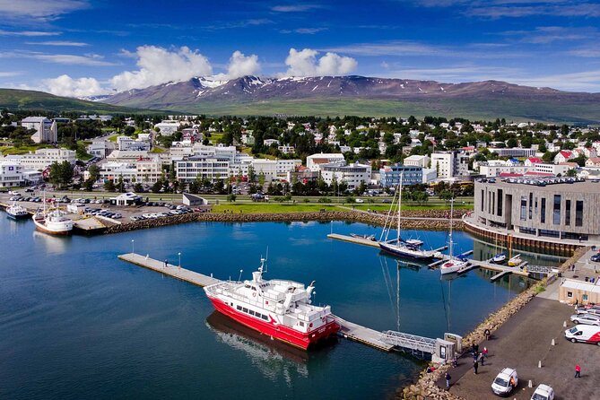 Goðafoss Waterfall & Forest Lagoon from Akureyri Port - A smart Akureyri port-day plan, waterfall to hot springs