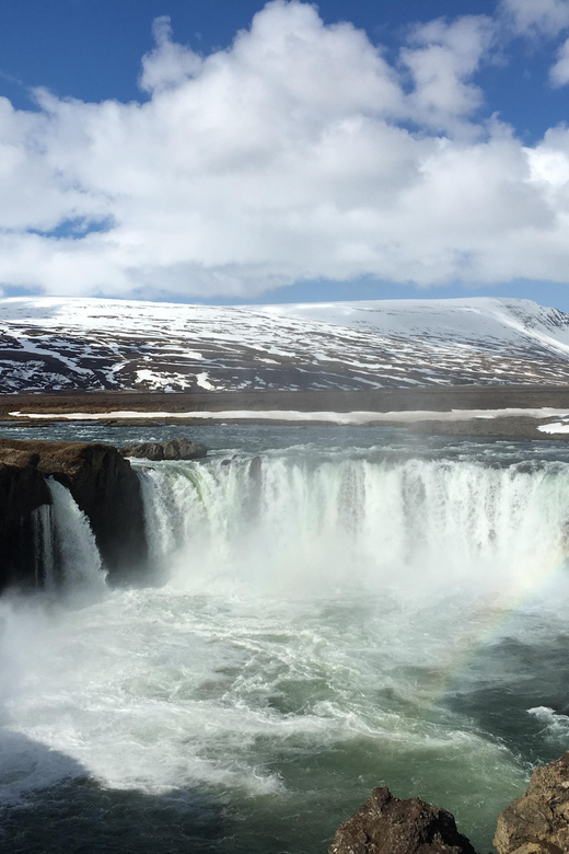 Godafoss Waterfall Short Day Tour from Akureyri Port - Who should book this Goðafoss cruise day trip