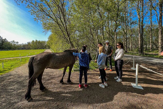 Golden Circle and Lunch at Fridheimar Tomato Farm - with photos - Tickets and admissions: how the tour keeps it simple