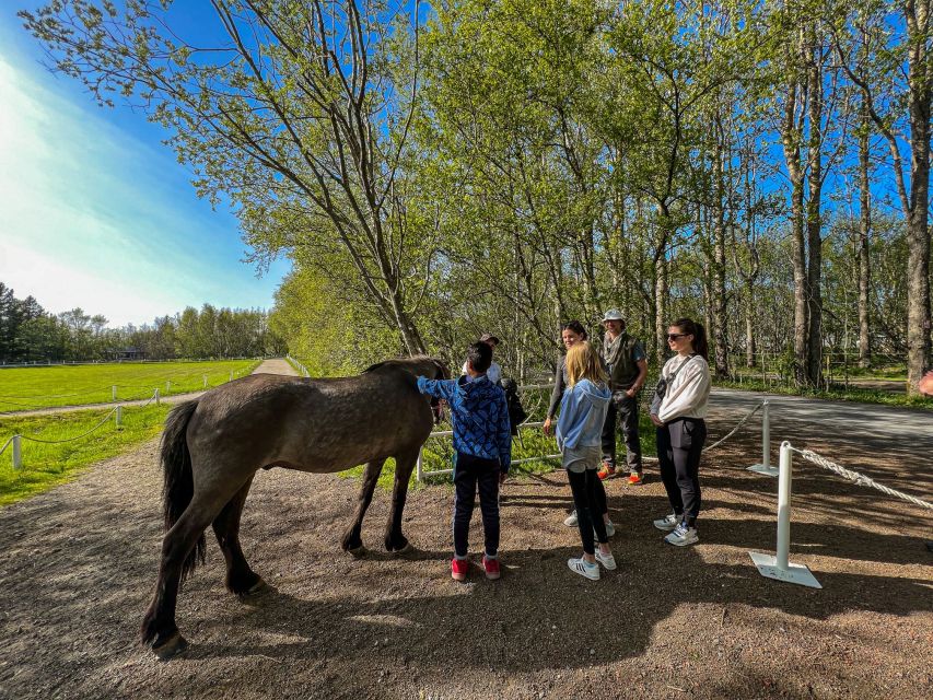 Golden Circle & Lunch at Fridheimar Tomato Farm- with photos - When This Tour Fits Best (And When You Should Skip It)