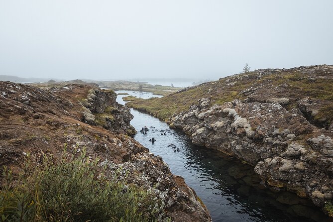Golden Circle | Private Tour | PRO Photo Package - Friðheimar on a tomato farm: the meal stop that earns its hour
