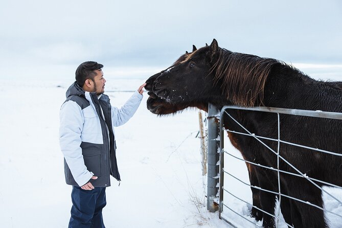 Golden Circle | Private Tour | PRO Photo Package - Þingvellir National Park, the walk between continents feeling