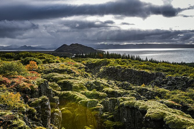 Golden Circle, Secret Lagoon & Friðheimar (Small Group) - Stop 4: Friðheimar tomato farm, geothermal heat you can actually see