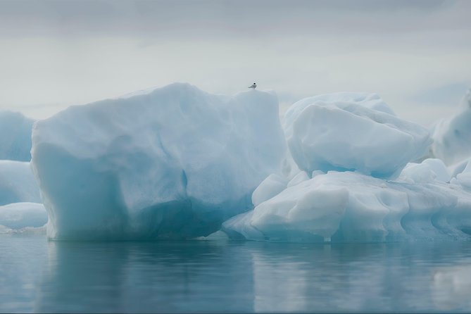 Guided Glacier Lagoon and Diamond Beach Day Trip from Reykjavik - Diamond Beach: 15 Minutes of Black Sand With Sparkling Ice