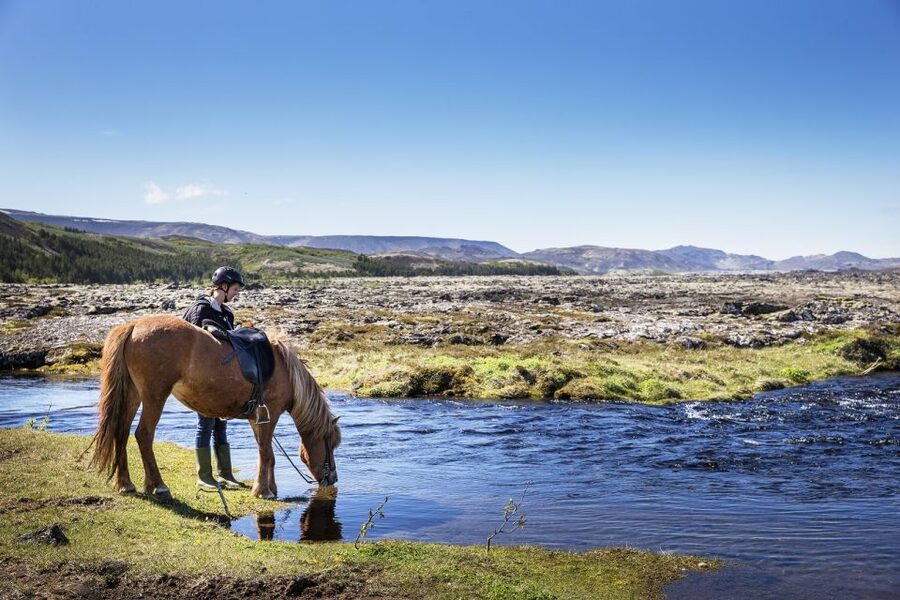 Hafnarfjörður: Horseback Riding Tour in Reykjavik Area - A 50-Minute Icelandic Horse Ride That Fits Reykjavik Days