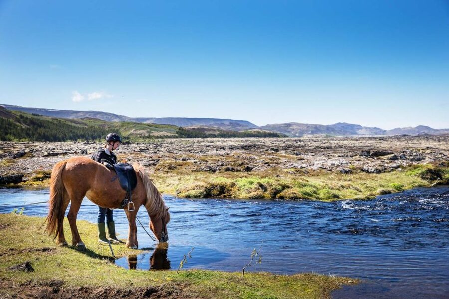 Hafnarfjörður: Horseback Riding Tour in Reykjavik Area - Beginner Coaching, Not Trial by Fire