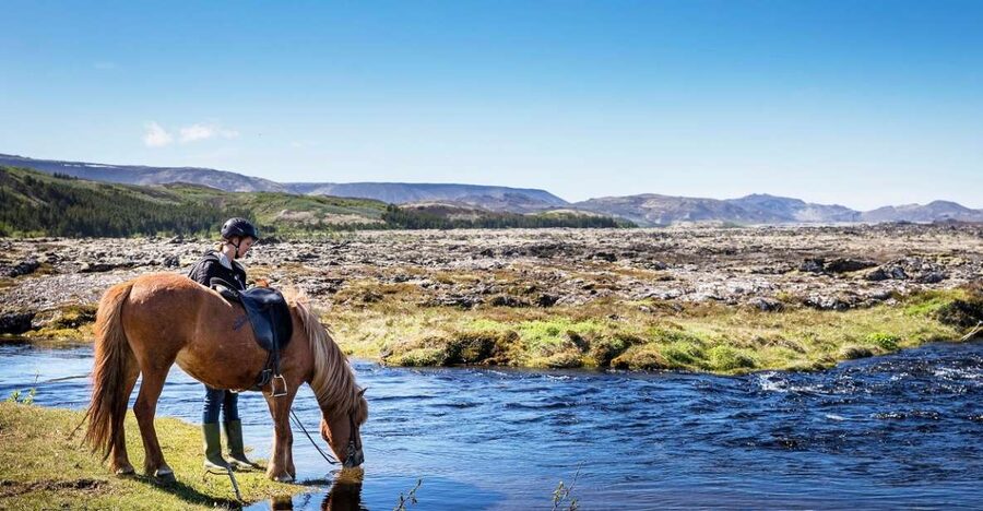 Hafnarfjörður: Horseback Riding Tour in Reykjavik Area - Gear and Comfort: Why This Tour Makes Cold Weather Work