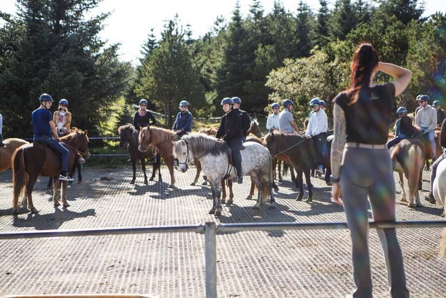 Hafnarfjörður: Horseback Riding Tour in Reykjavik Area - After the Ride: Warm Drinks and Time at the Stables