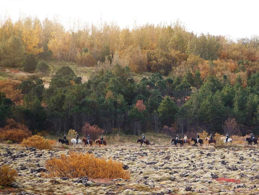 Hafnarfjörður: Horseback Riding Tour in Reykjavik Area - Price and Value: Is $132 Worth It?