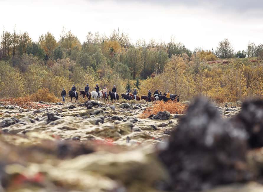 Hafnarfjörður: Horseback Riding Tour in Reykjavik Area - Who Should Skip It (and Who Should Go)