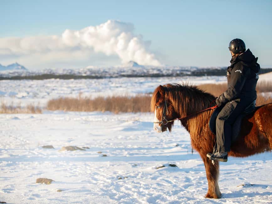 Hafnarfjörður: Horseback Riding Tour in Reykjavik Area - Should You Book Íshestar’s Hafnarfjörður Horseback Tour?