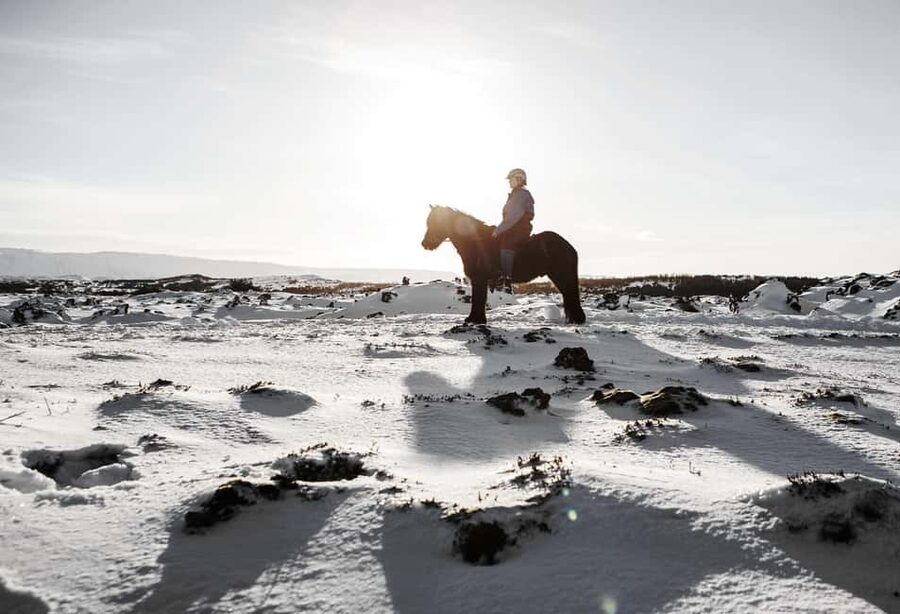 Hafnarfjörður: Horseback Riding Tour in Reykjavik Area - FAQ