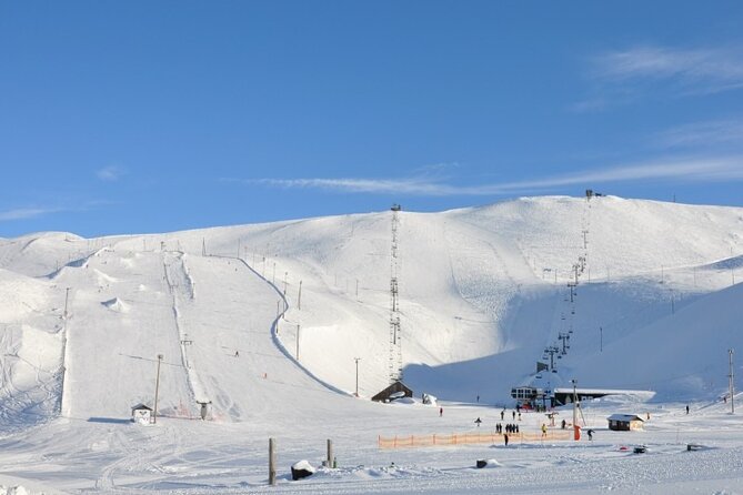 Helicopter tour from Reykjavik: Hengill Area with at site landing - Price and Value: About $600, With Fees and Landing Included