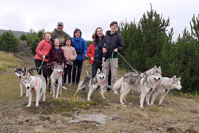 Hiking with Husky in Akureyri - Husky Trekking Near Akureyri: What the 2-Hour Experience Feels Like