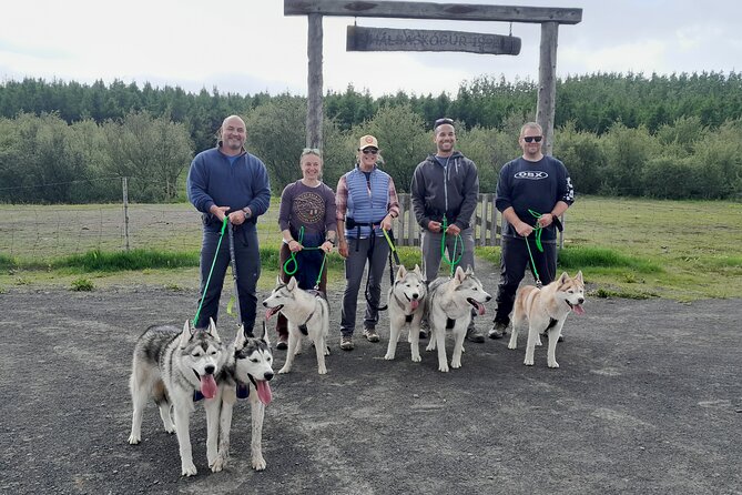 Hiking with Husky in Akureyri - Before the Hike: Welcome With the Pack, Gear, and Dog Introductions