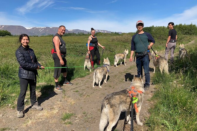 Hiking with Husky in Akureyri - Inside the Husky Home: Where the Pack Lives With Gunni and María
