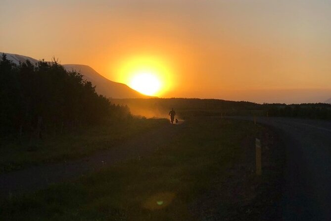 Hiking with Husky in Akureyri - Price and Value for an Akureyri Husky Hike