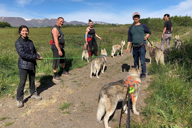 Hiking with Husky in Akureyri (private) - The Forest Walk With Your Husky Partner, Plus Sea and Mountain Views